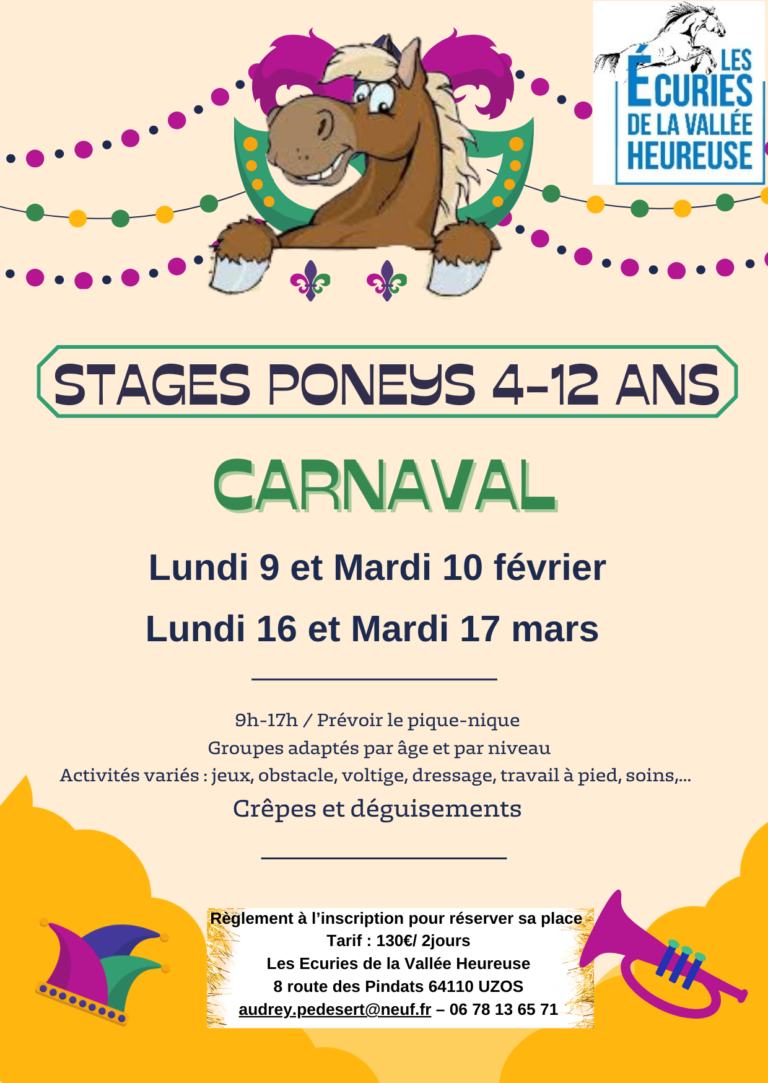 flyer stage fevrier evh stages