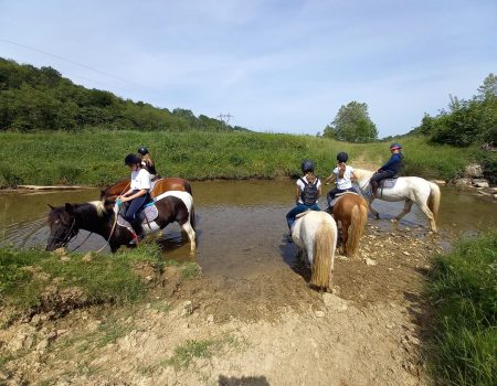 EVH Stages vacances EVH Stages vacances