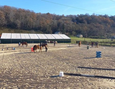 ptv decembre ptv decembre